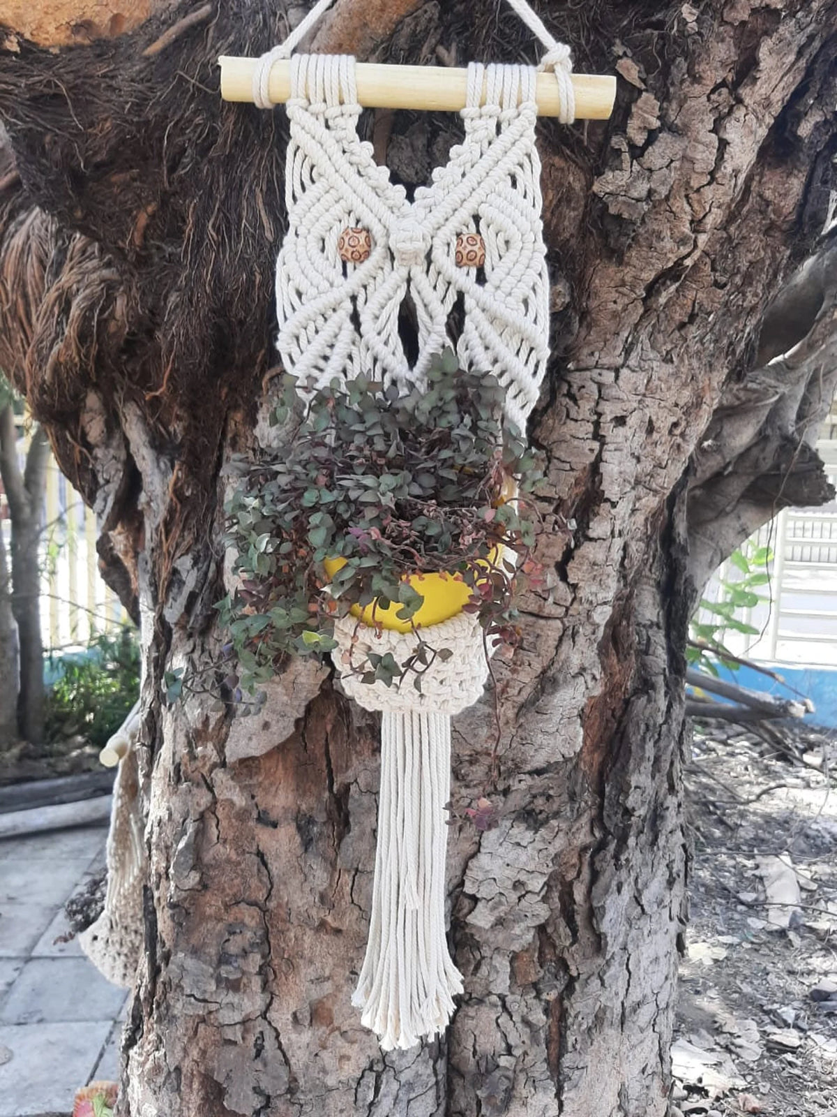 Handcrafted Macramé Plant Hanger Wall Hanging