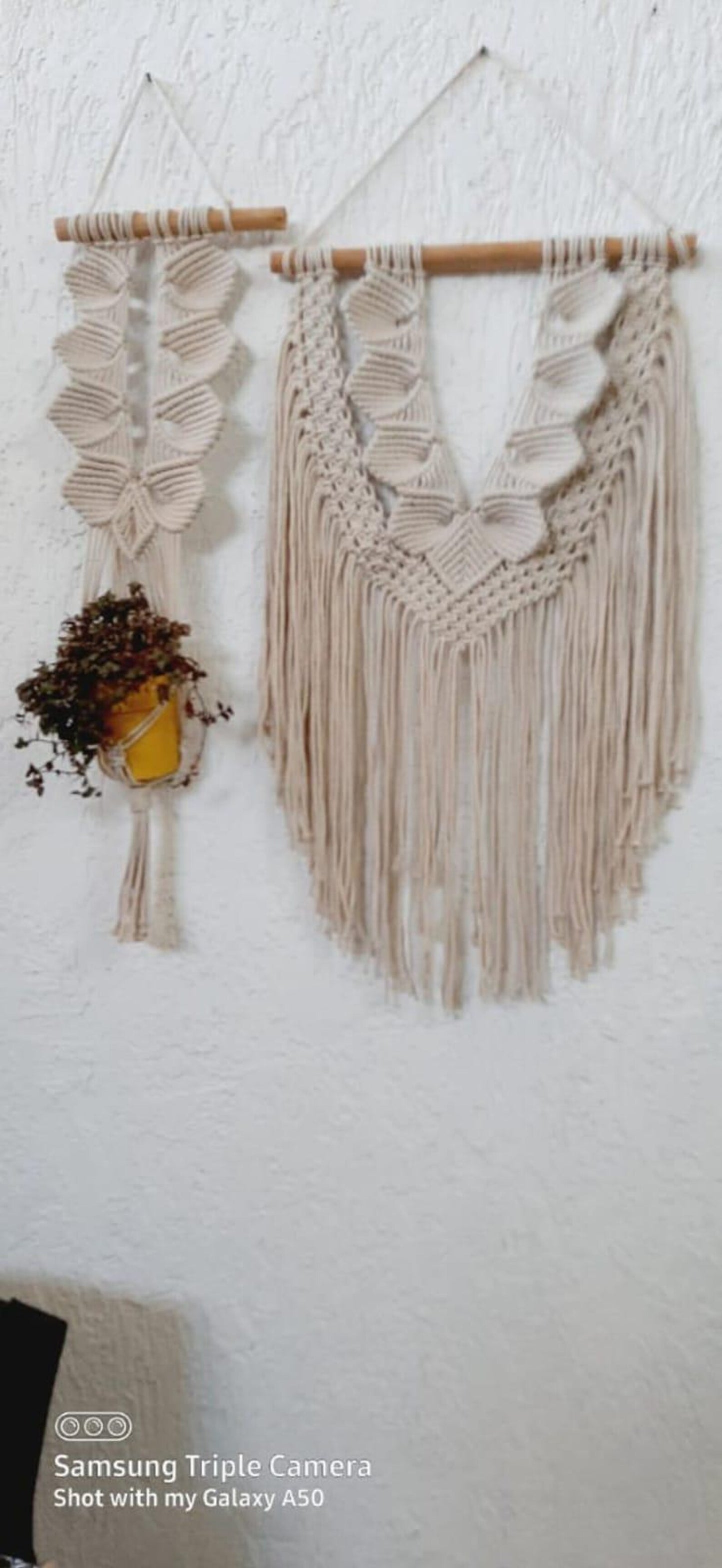Handcrafted Macramé Wall Hanging & Plant Hanger Set | Boho Cotton Rope Wall Décor