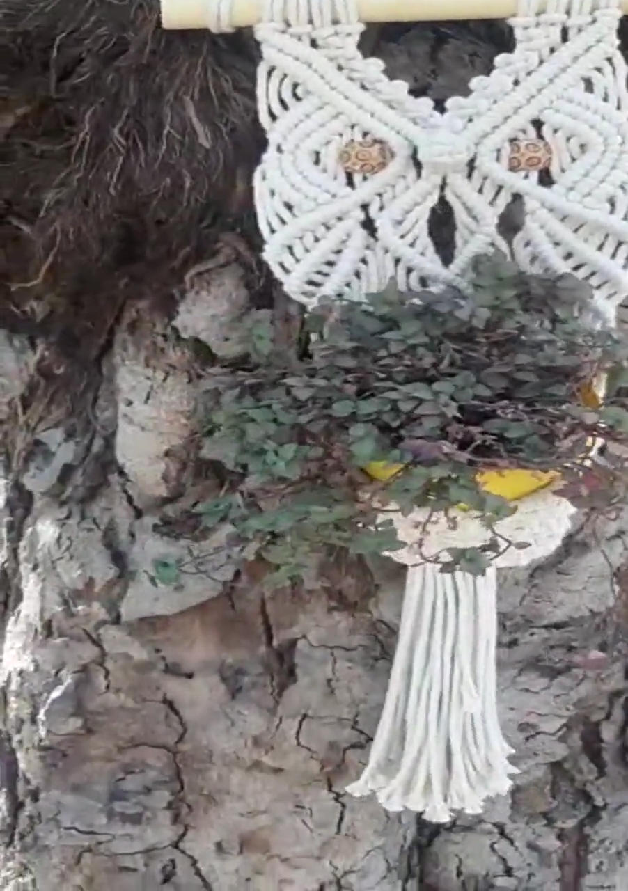 Handcrafted Macramé Plant Hanger Wall Hanging