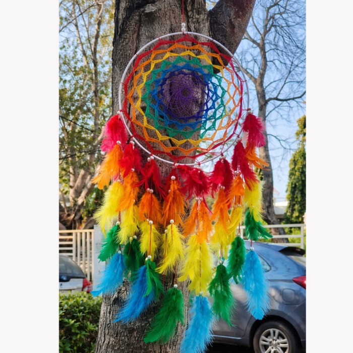 Large Feather Dream Catcher Boho Wall Hanging Decor