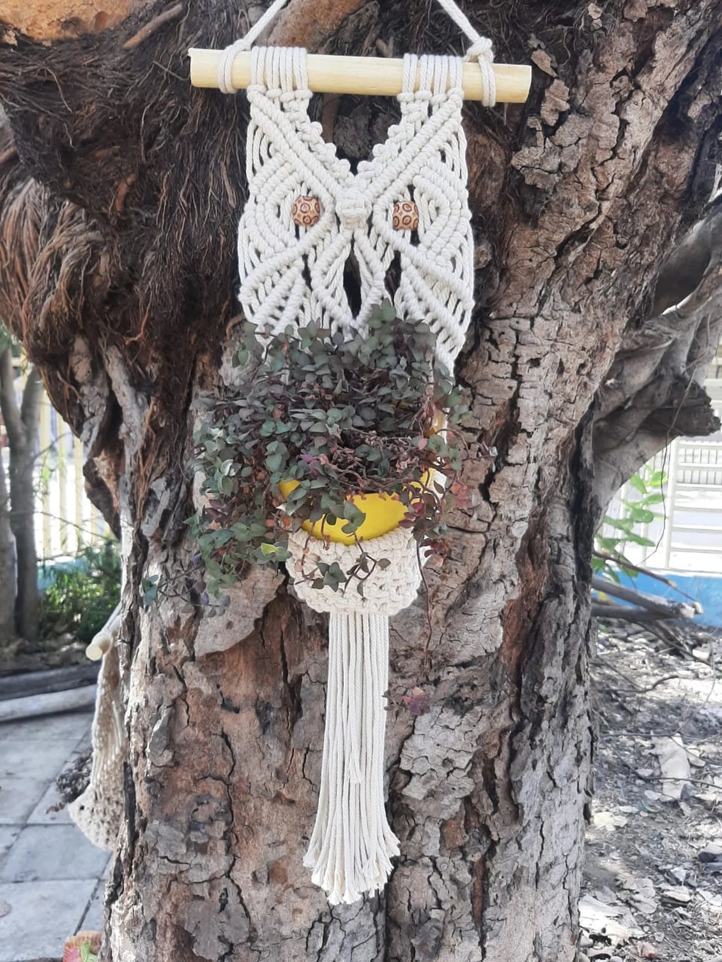 Handcrafted Macramé Plant Hanger Wall Hanging