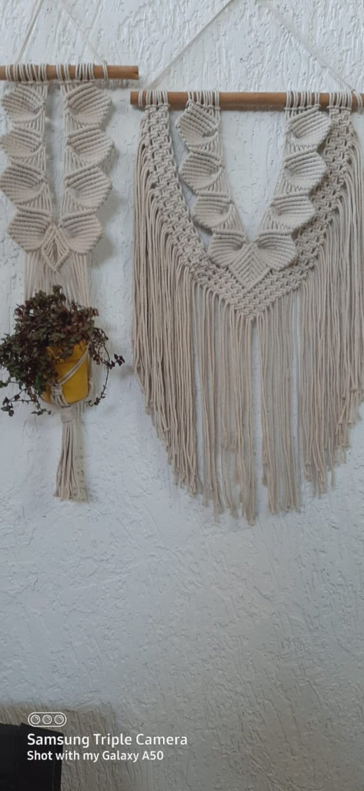 Handcrafted Macramé Wall Hanging & Plant Hanger Set | Boho Cotton Rope Wall Décor