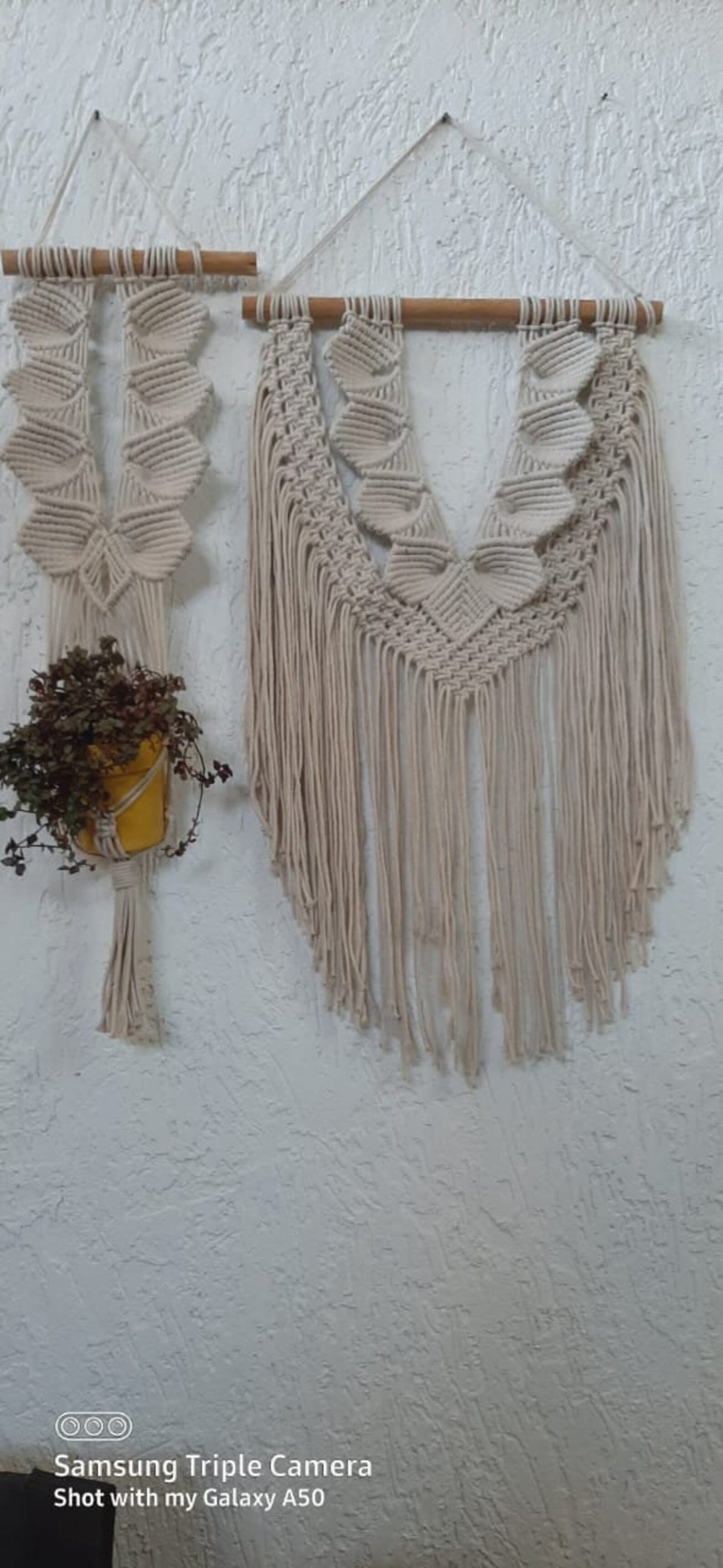 Handcrafted Macramé Wall Hanging & Plant Hanger Set | Boho Cotton Rope Wall Décor