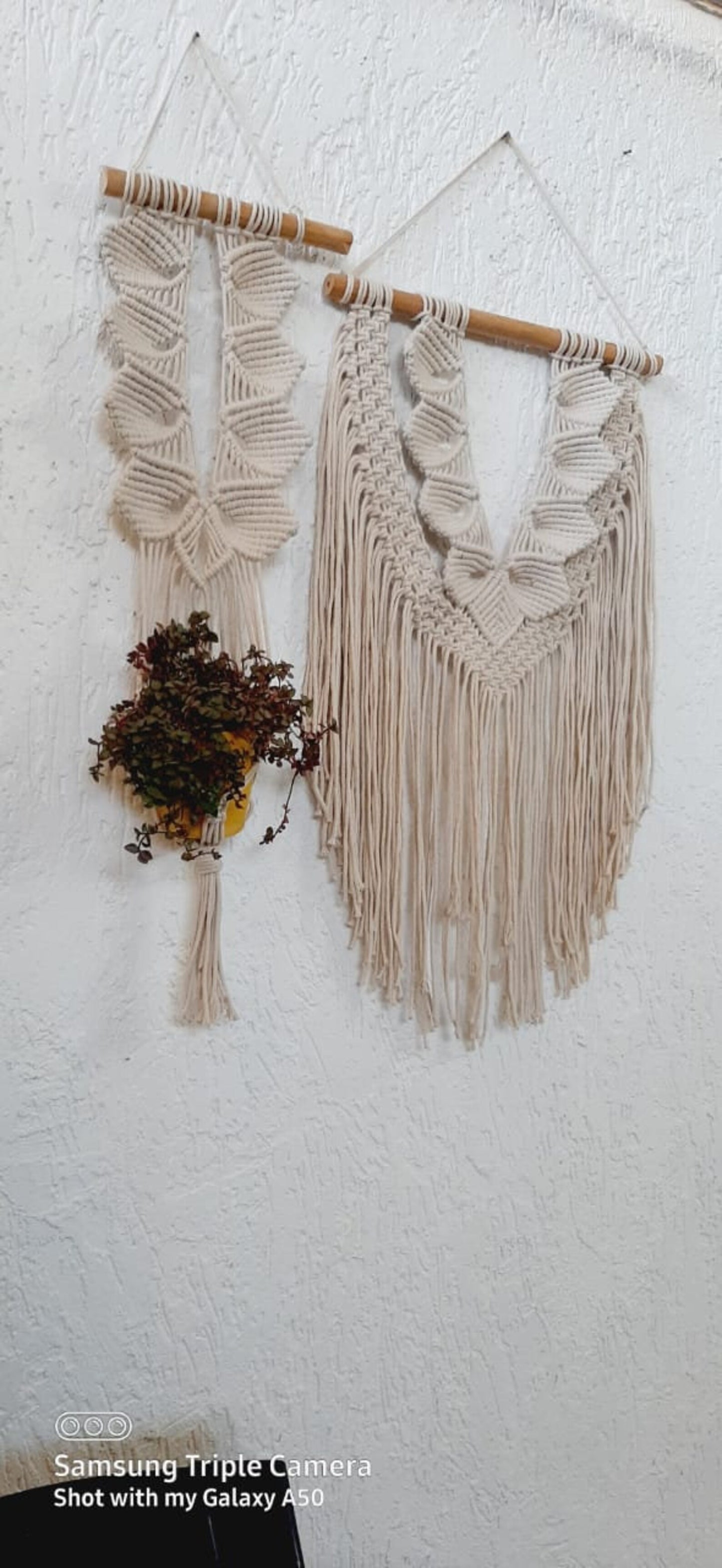 Handcrafted Macramé Wall Hanging & Plant Hanger Set | Boho Cotton Rope Wall Décor