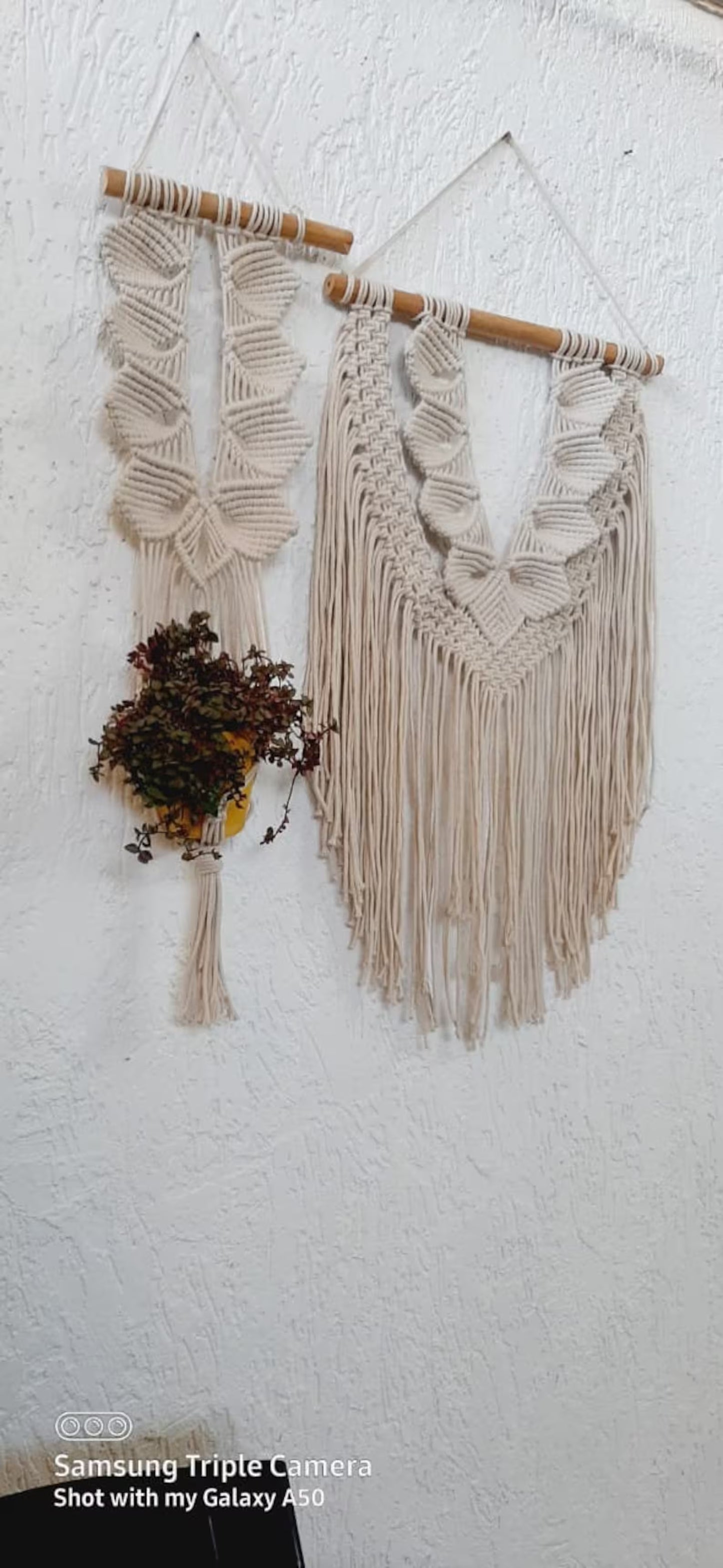 Handcrafted Macramé Wall Hanging & Plant Hanger Set | Boho Cotton Rope Wall Décor