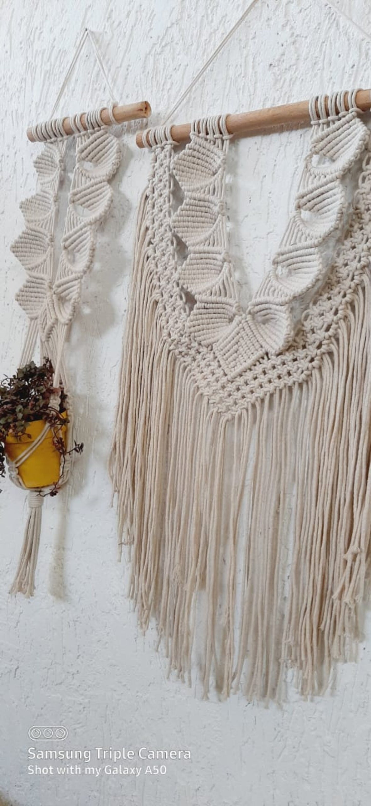 Handcrafted Macramé Wall Hanging & Plant Hanger Set | Boho Cotton Rope Wall Décor